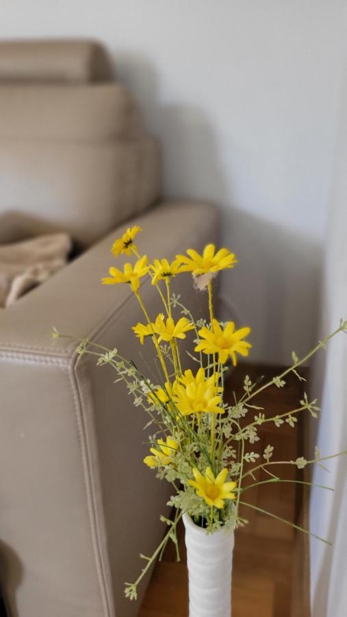 Apartament Julietta 斯维诺乌伊希切 外观 照片