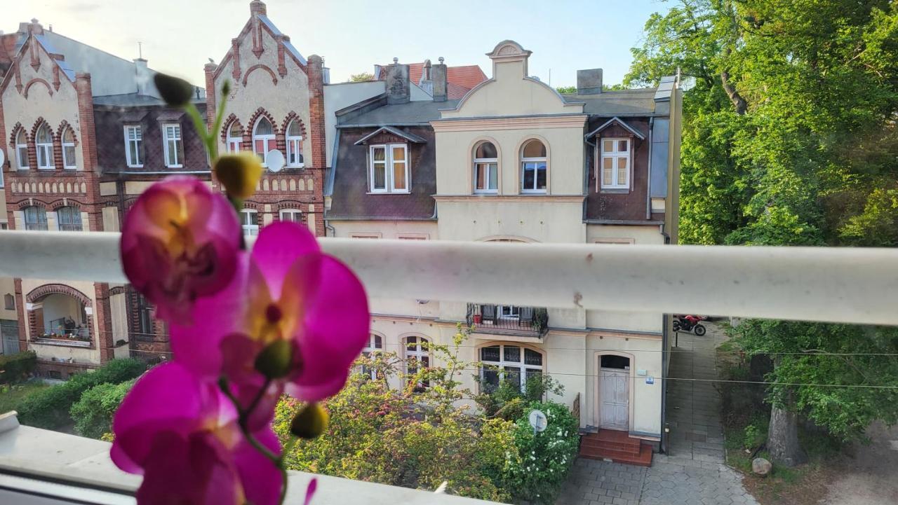 Apartament Julietta 斯维诺乌伊希切 外观 照片